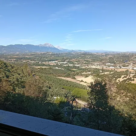 Casa Dante Alighieri, A Апартаменты